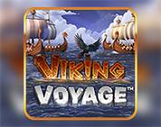 Viking Voyage